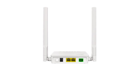 Delosmart XPON(GPON/EPON) GP8812A